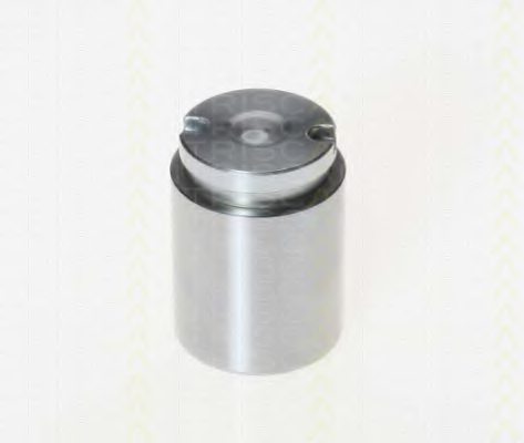 TRISCAN 8170 233428 Piston, brake caliper